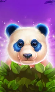 Luck of Panda: Bonus Combo
