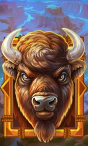 Buffalo Gold Canyon
